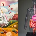bowel function misconceptions clarified