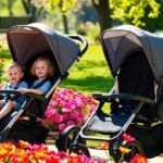 double stroller characteristics overview