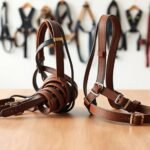 harness fit truth vs fiction