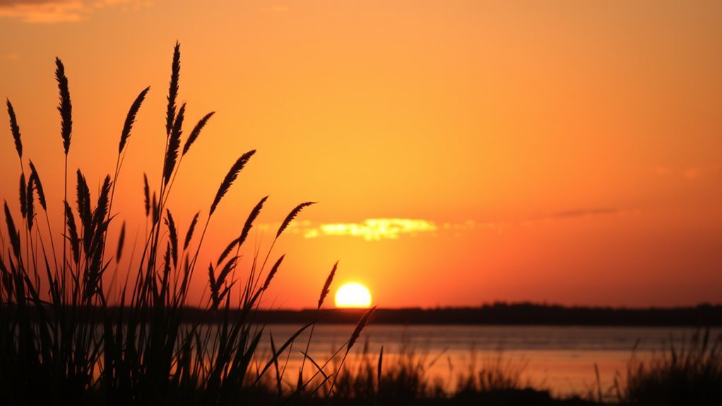 signs of golden hour