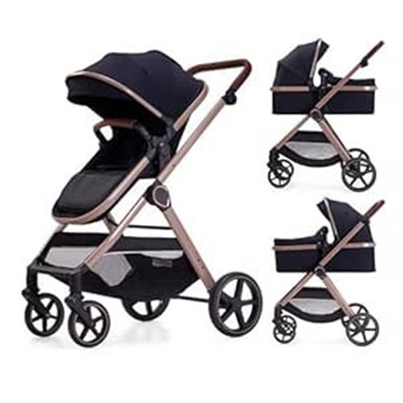 2-in-1 Convertible Baby Stroller Bassinet (Black)