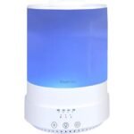 bluehills diffuser review highlights