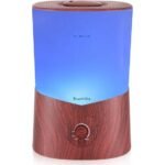 bluehills diffuser review highlights