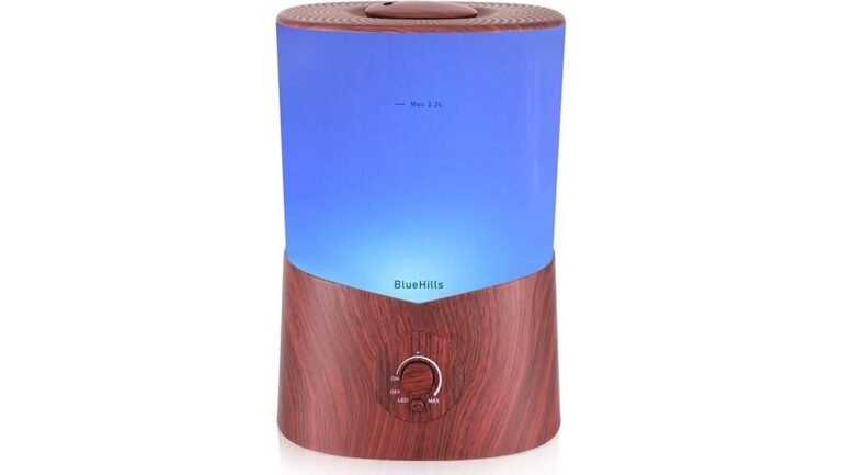 bluehills diffuser review highlights