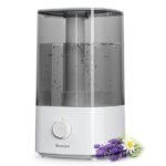 breezome 4l humidifier performance insights
