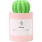 cactus themed mini humidifier review