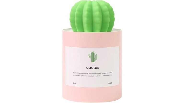 cactus themed mini humidifier review