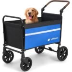 comfortable ride for dogs