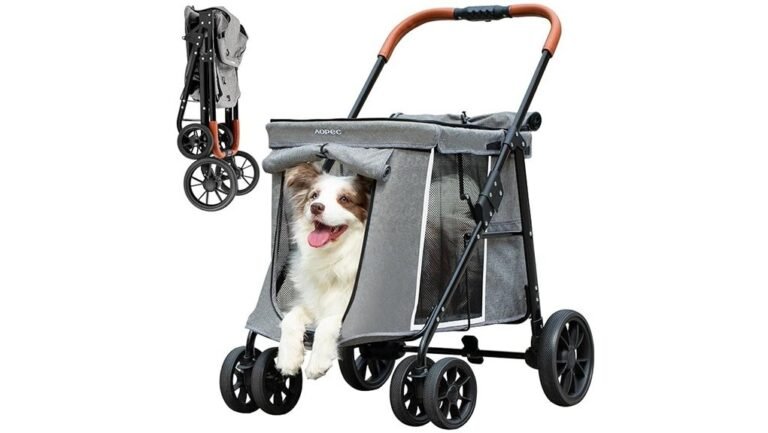 comfortable travel for dogs