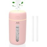 compact and effective humidifier