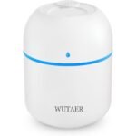 compact and efficient humidifier