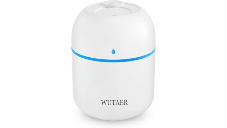 compact and efficient humidifier