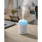 compact and efficient humidifier