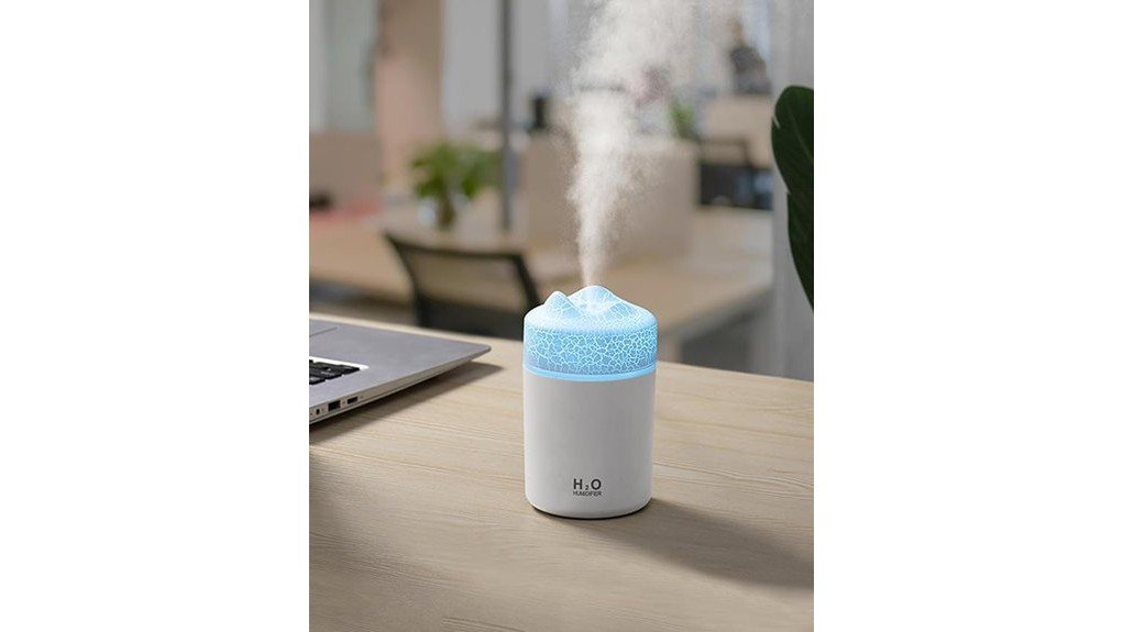 compact and efficient humidifier