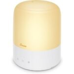 compact and efficient humidifier