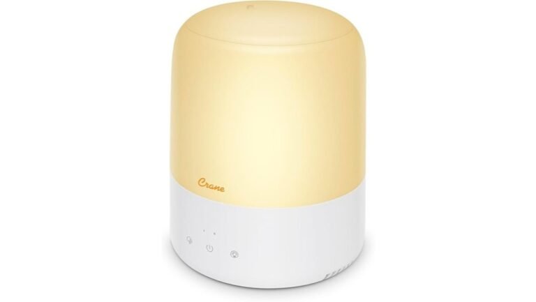 compact and efficient humidifier