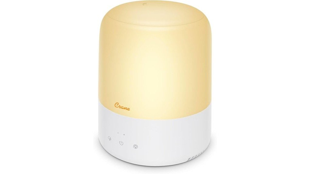 compact and efficient humidifier
