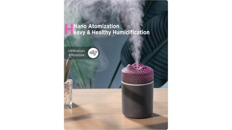 compact humidifier performance review