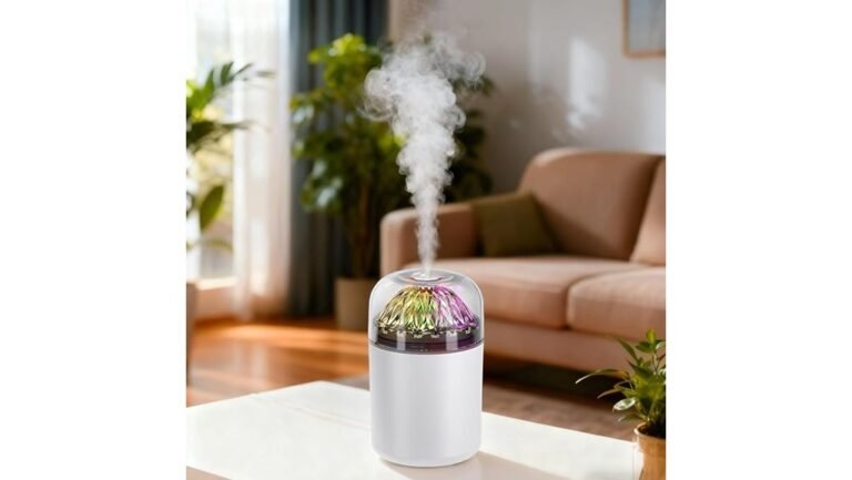 compact refreshing humidifier solution
