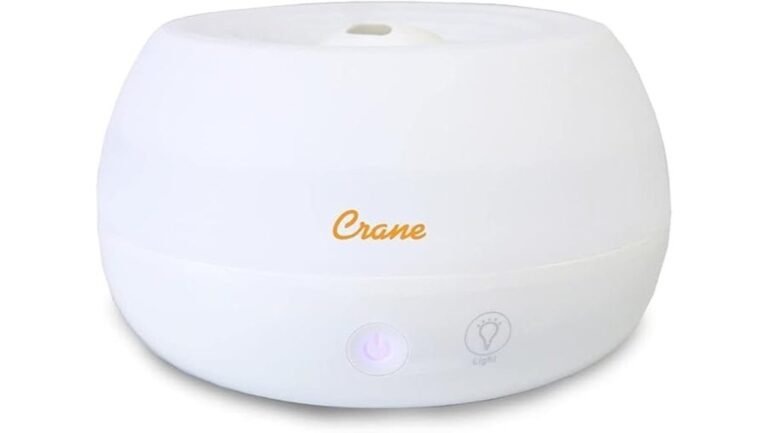 compact ultrasonic humidifier review