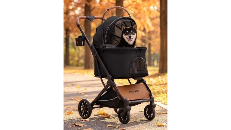 convenient pet transport solution
