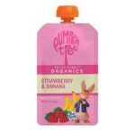 delicious organic baby food