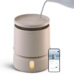 dreamwell humidifier performance review
