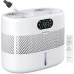 eco friendly humidifier option
