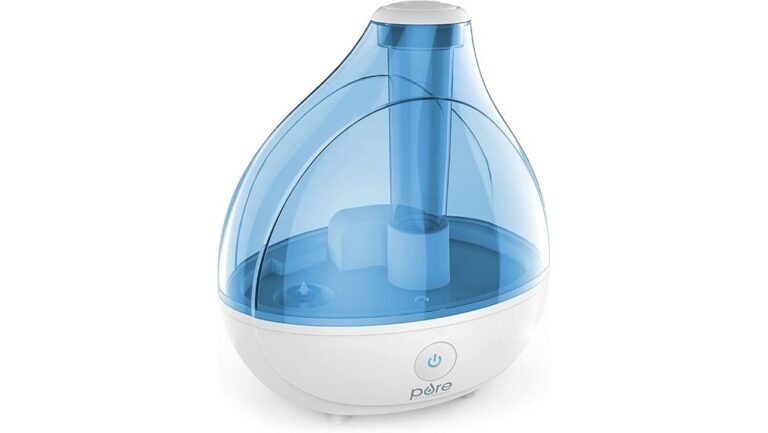 effective and affordable humidifier