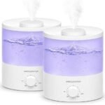 effective humidifier performance review