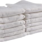 fasoar prefold diapers review