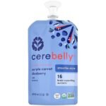 healthy organic baby food
