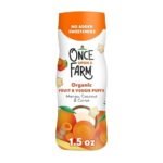 healthy snack for kids