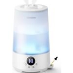 homvana h101 humidifier overview