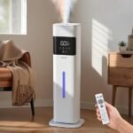 humidifier performance assessment review