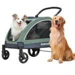 ideal for big dogs