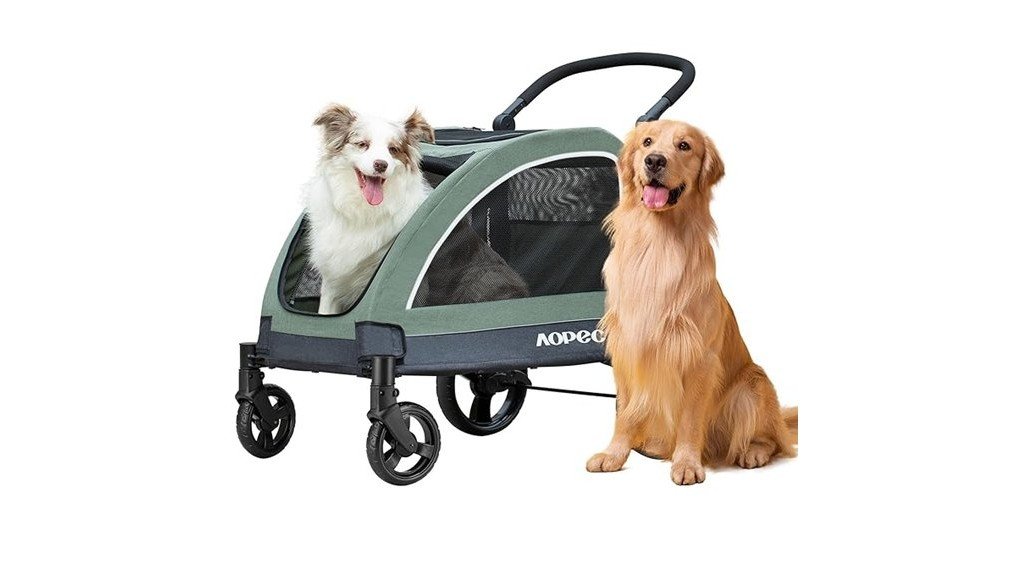 ideal for big dogs