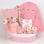 ideal newborn gift basket