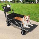 large dog stroller review