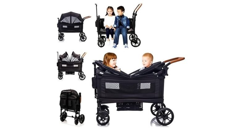 luxury stroller for parents