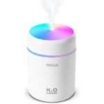 mini humidifier worth considering