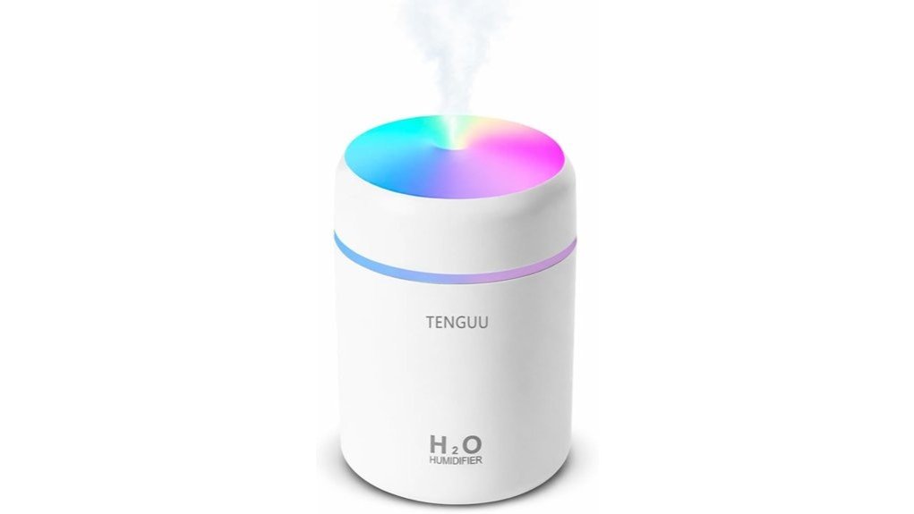 mini humidifier worth considering