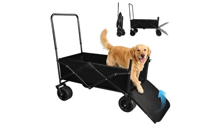 perfect for large dogs