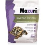 tortoise food review highlights