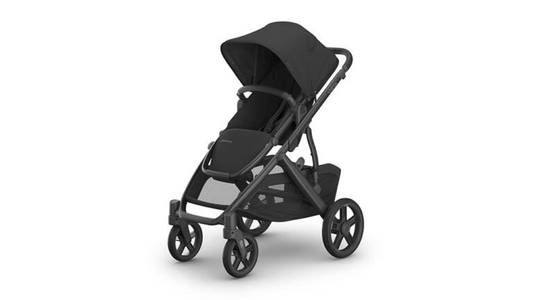 versatile luxury baby stroller