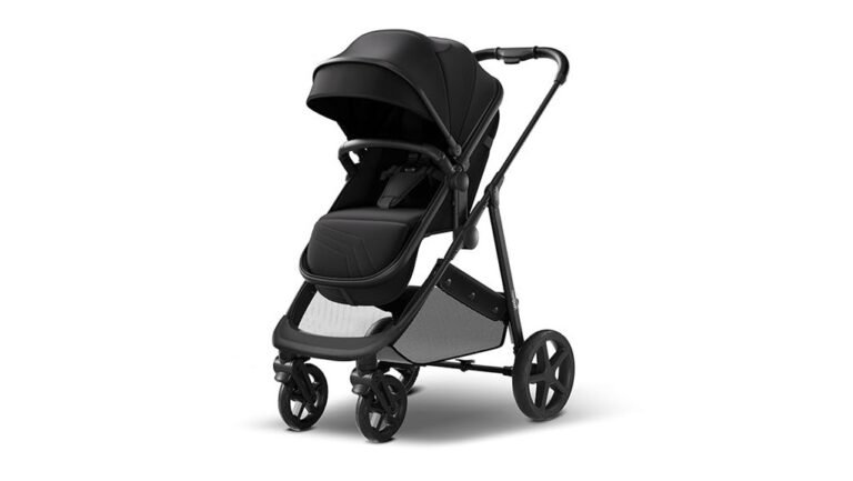 versatile stroller for parents