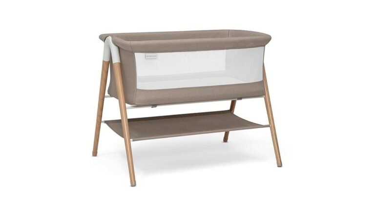 comfortable and stylish bassinet