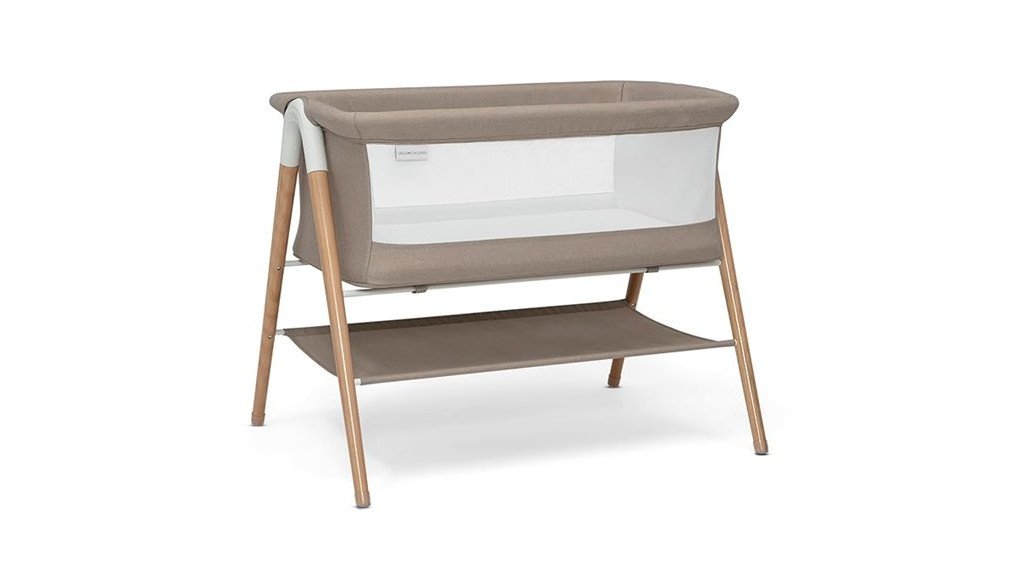 comfortable and stylish bassinet