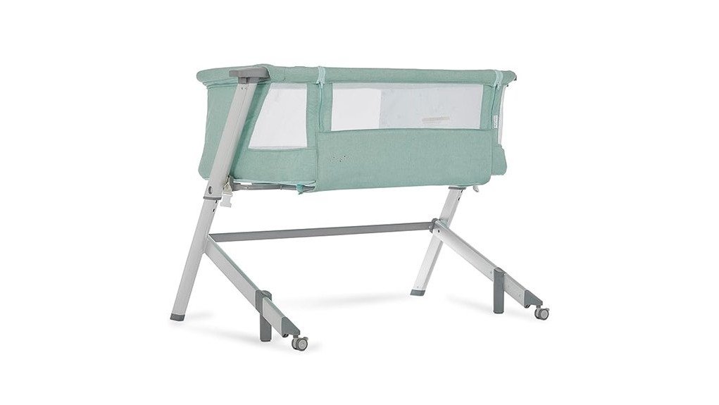 comfortable and stylish bassinet