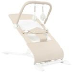 comfortable and stylish bouncer